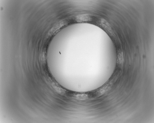 X0000087740426200705211017