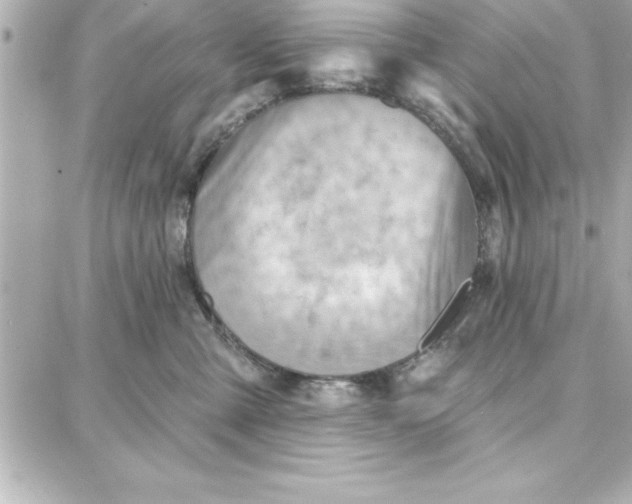 X0000087740427200705211017