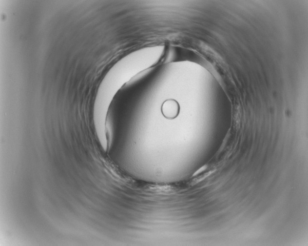 X0000087740428200705211017