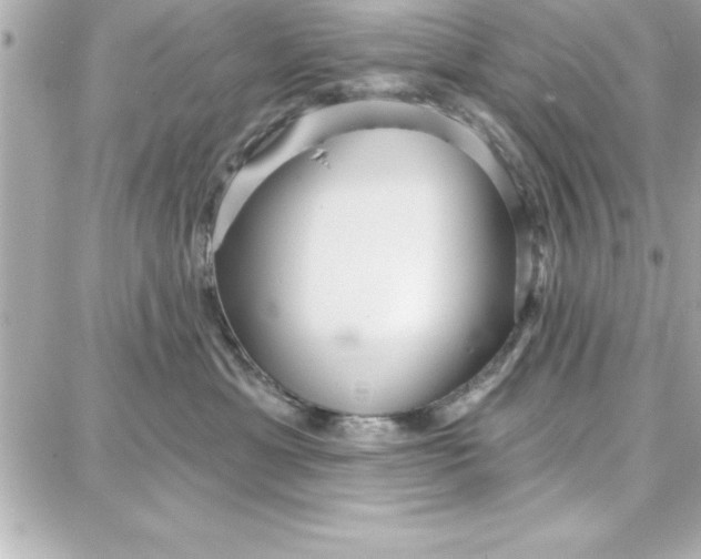 X0000087740429200705211017