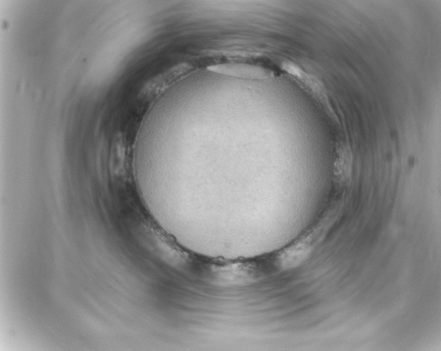 X0000087740430200705211017