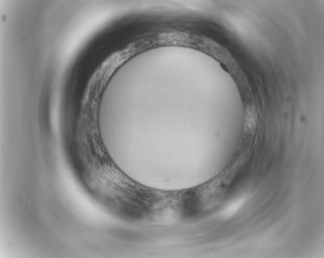 X0000087740431200705211017