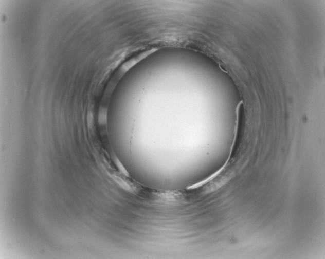 X0000087740432200705211017