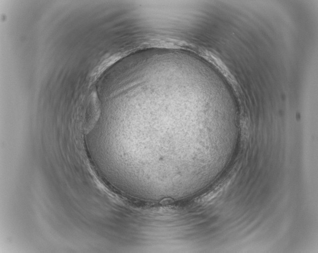 X0000087740433200705211016