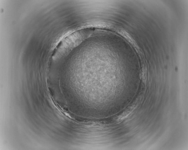 X0000087740434200705211016