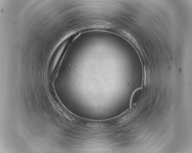 X0000087740435200705211016