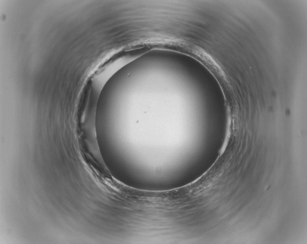 X0000087740436200705211016