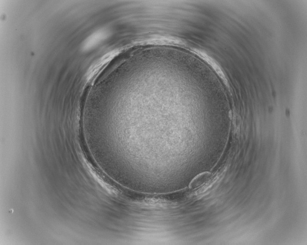 X0000087740437200705211016