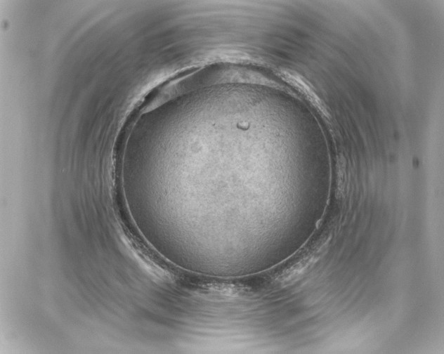 X0000087740439200705211016