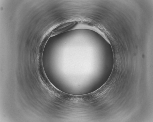 X0000087740440200705211016