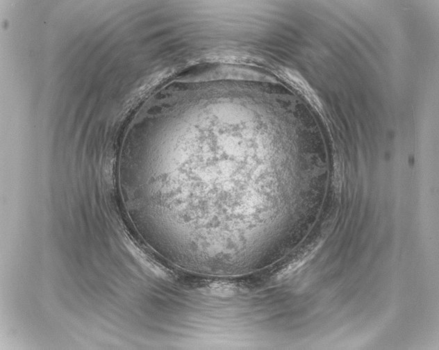 X0000087740441200705211016