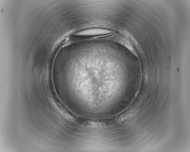 X0000087740442200705211016