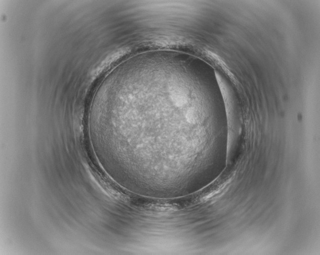 X0000087740443200705211016