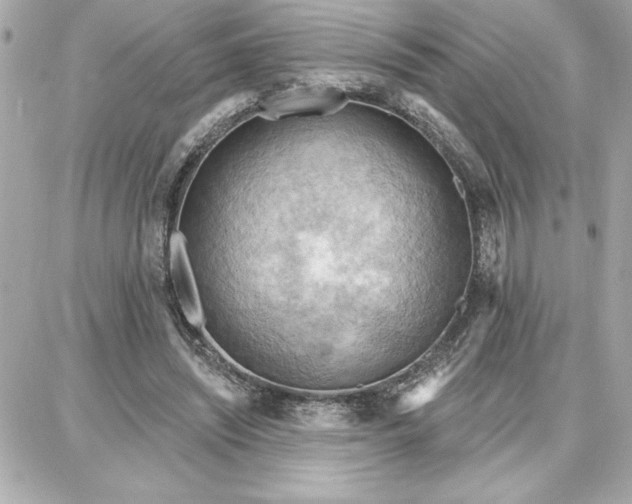 X0000087740444200705211016