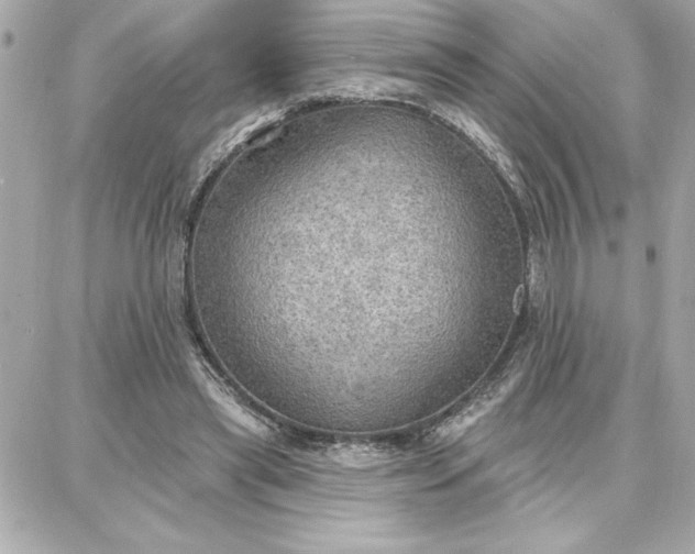 X0000087740445200705211016