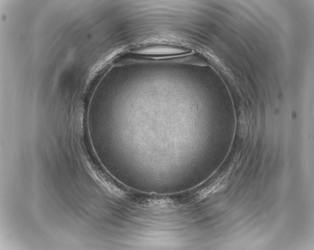 X0000087740446200705211016