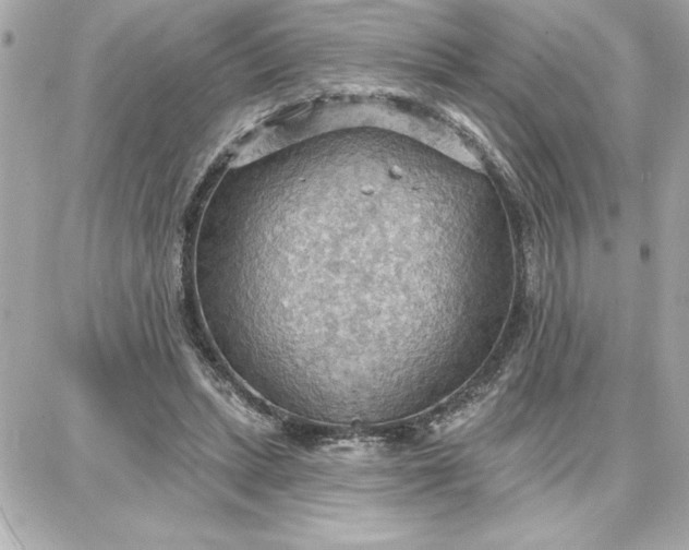 X0000087740447200705211016