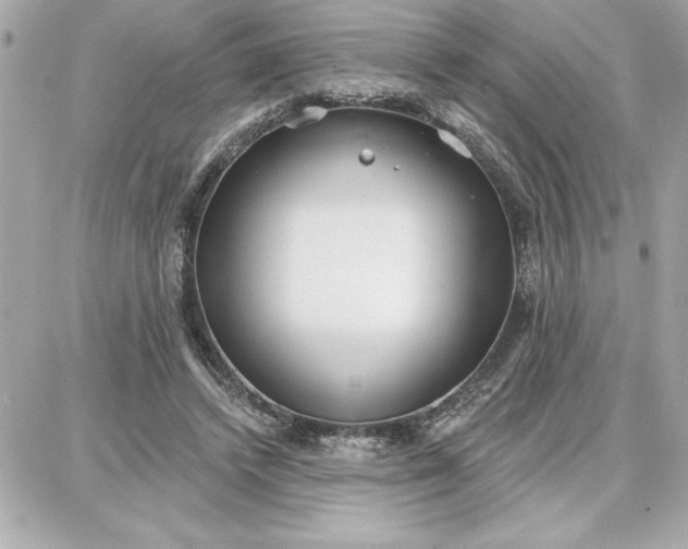 X0000087740448200705211016