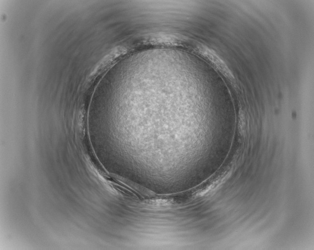 X0000087740449200705211016