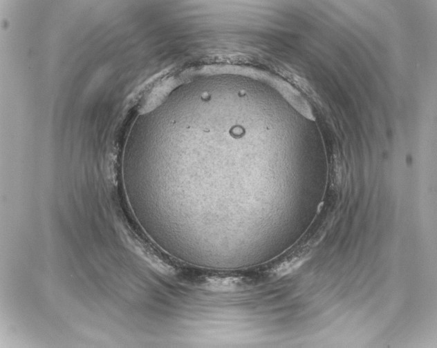 X0000087740450200705211016