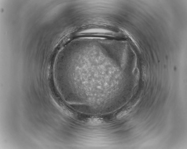 X0000087740451200705211016