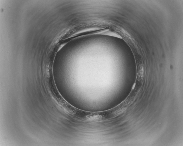 X0000087740452200705211016