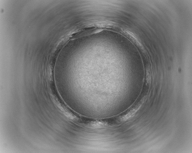 X0000087740453200705211016