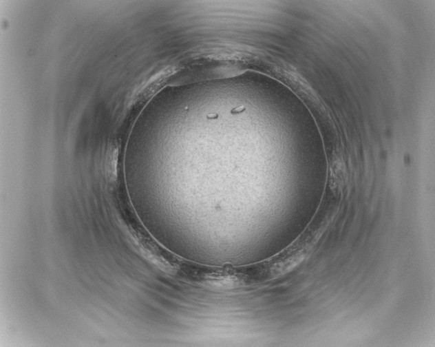 X0000087740454200705211016