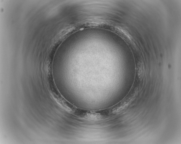 X0000087740455200705211016