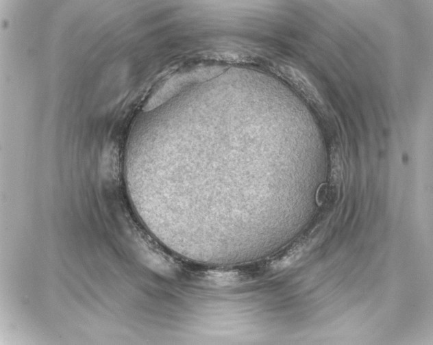 X0000087740457200705211016