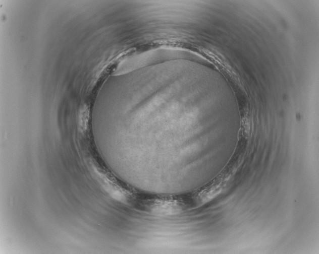 X0000087740458200705211016