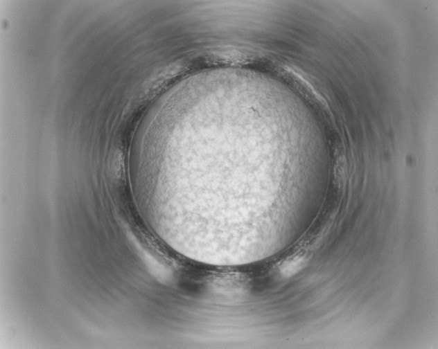 X0000087740459200705211016