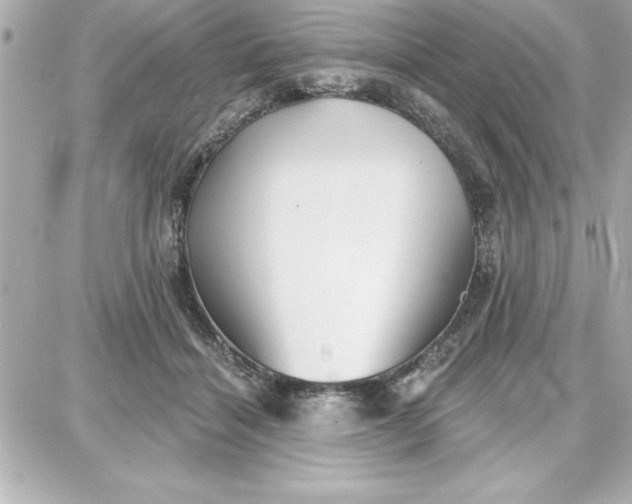 X0000087740460200705211016