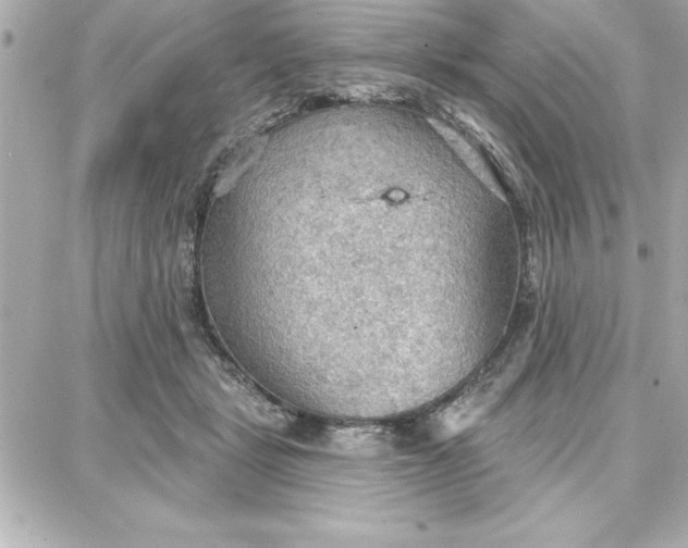 X0000087740461200705211017