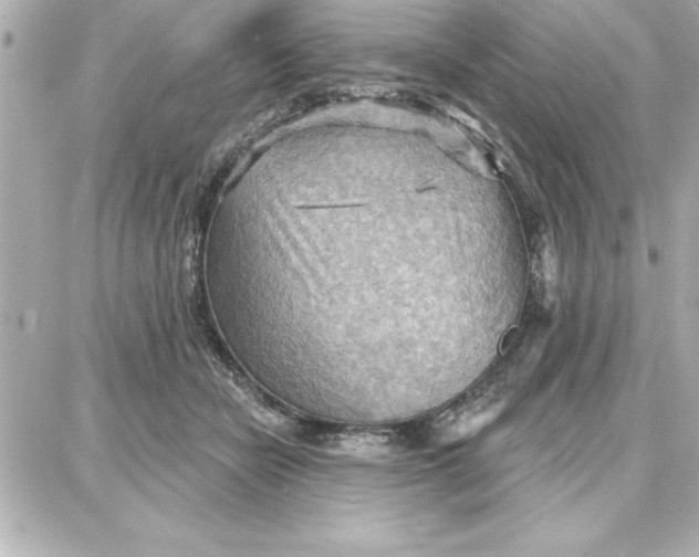 X0000087740462200705211017