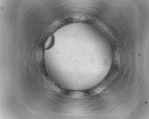 X0000087740463200705211017