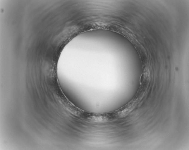 X0000087740464200705211017