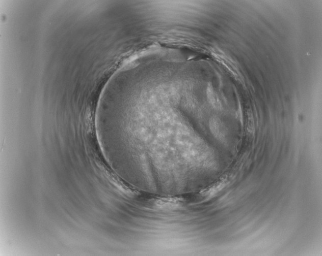 X0000087740465200705211017