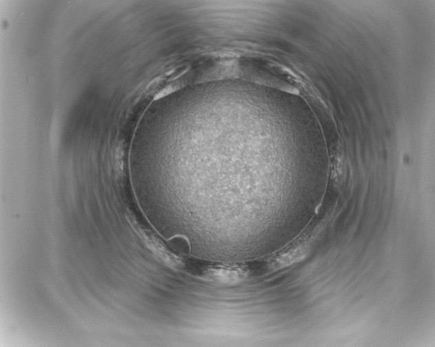 X0000087740466200705211017