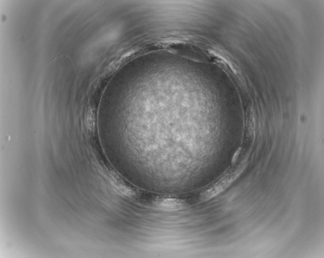 X0000087740467200705211017