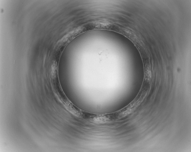 X0000087740468200705211017