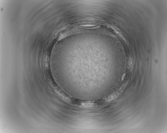 X0000087740470200705211017