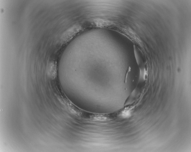 X0000087740471200705211017