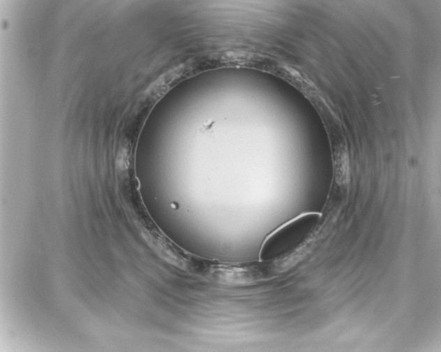 X0000087740472200705211017