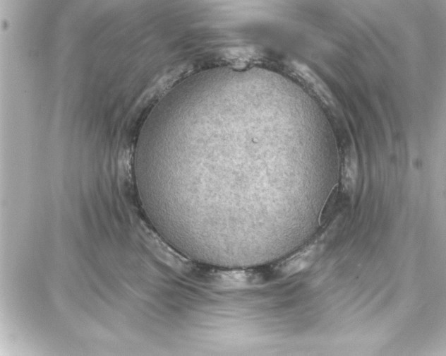 X0000087740473200705211017