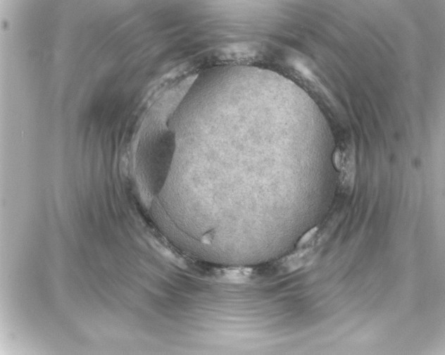 X0000087740474200705211017