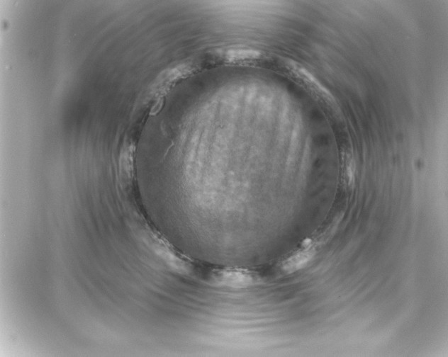 X0000087740475200705211017