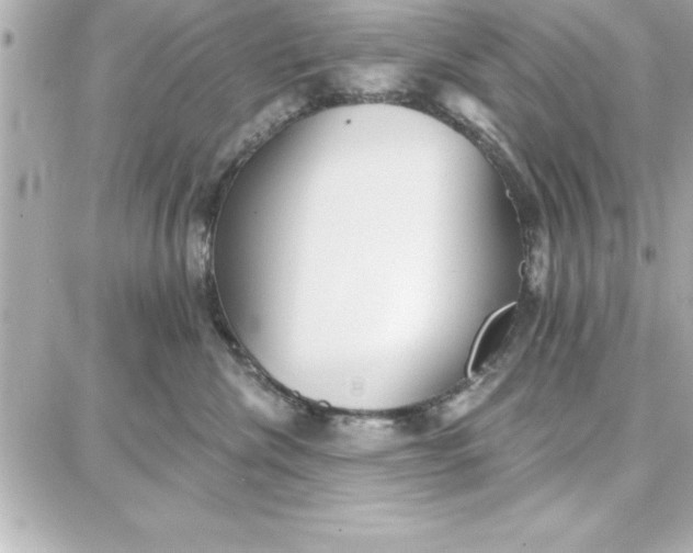 X0000087740476200705211017