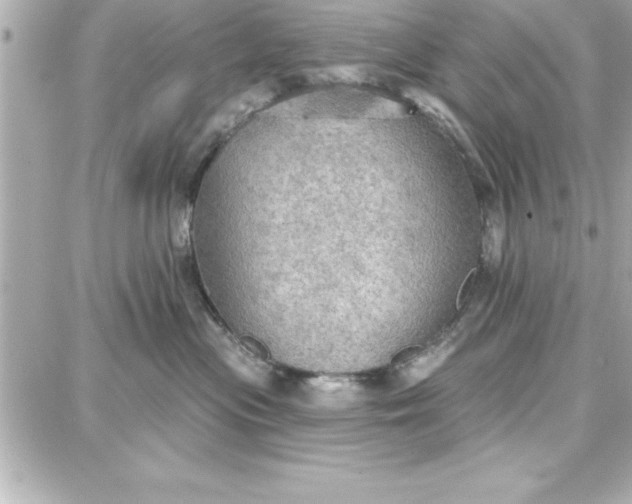 X0000087740477200705211017