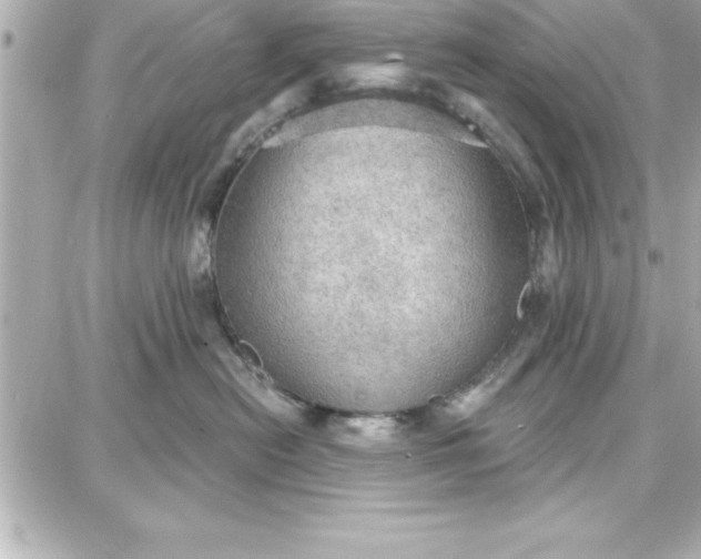 X0000087740478200705211017